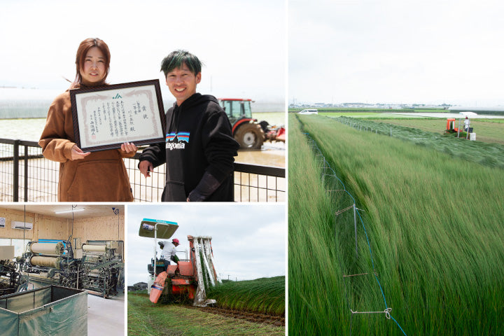 村上さんの国産い草 しめ縄リース 土台 DIY用 ハンドメイド用 熊本県産